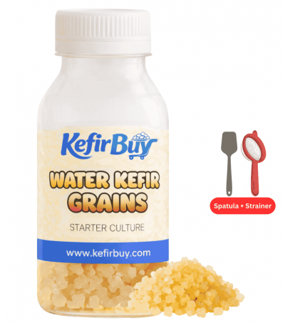 Water Kefir Grains with Kit