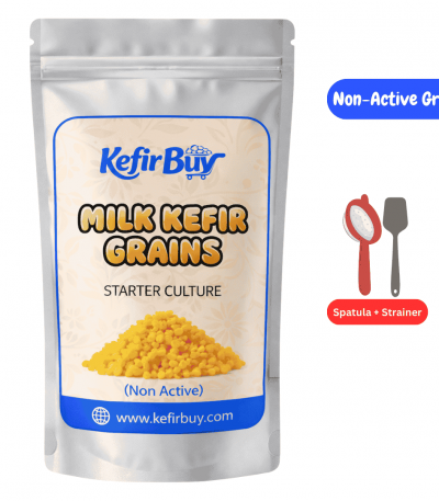 Non Active (Dehydrated) Milk Kefir grains