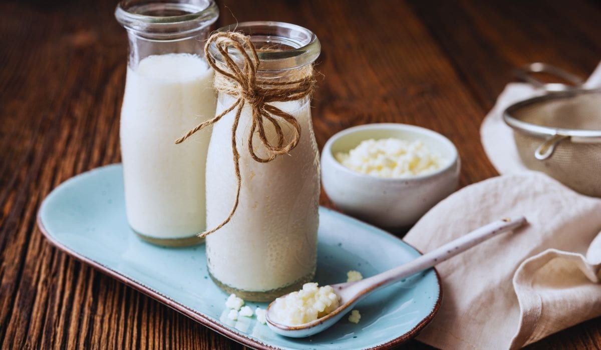 Kefir